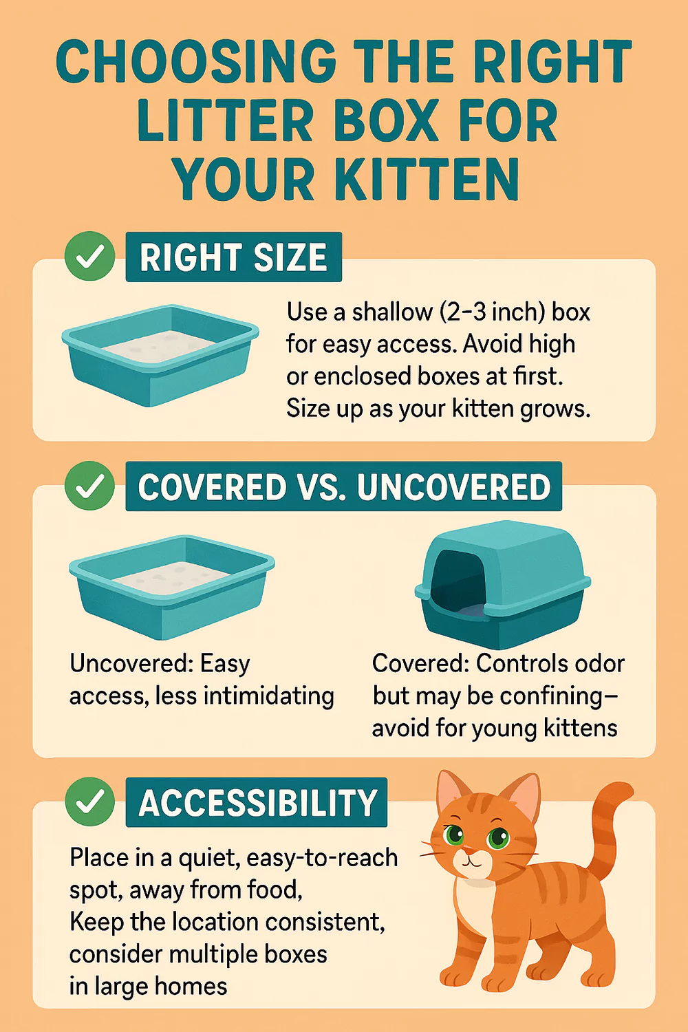 Kitten litter box selection guide showing right size shallow box, covered vs uncovered options, and accessibility tips.