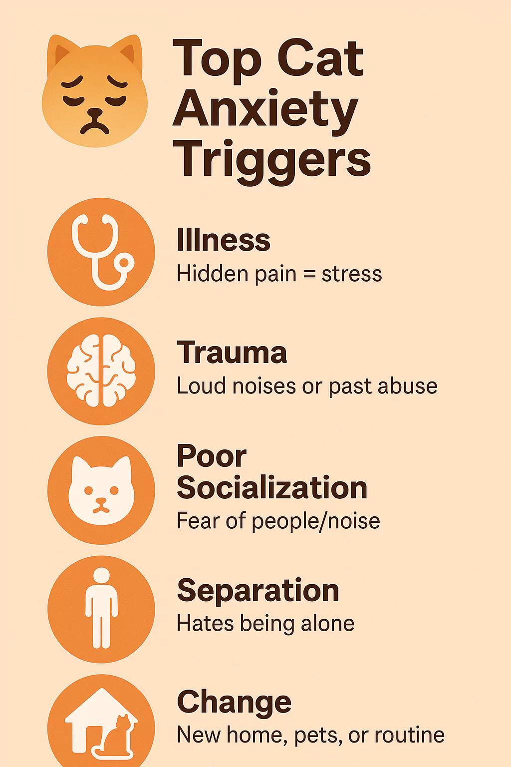 Top cat anxiety triggers infographic listing illness, trauma, poor socialization, separation and change.