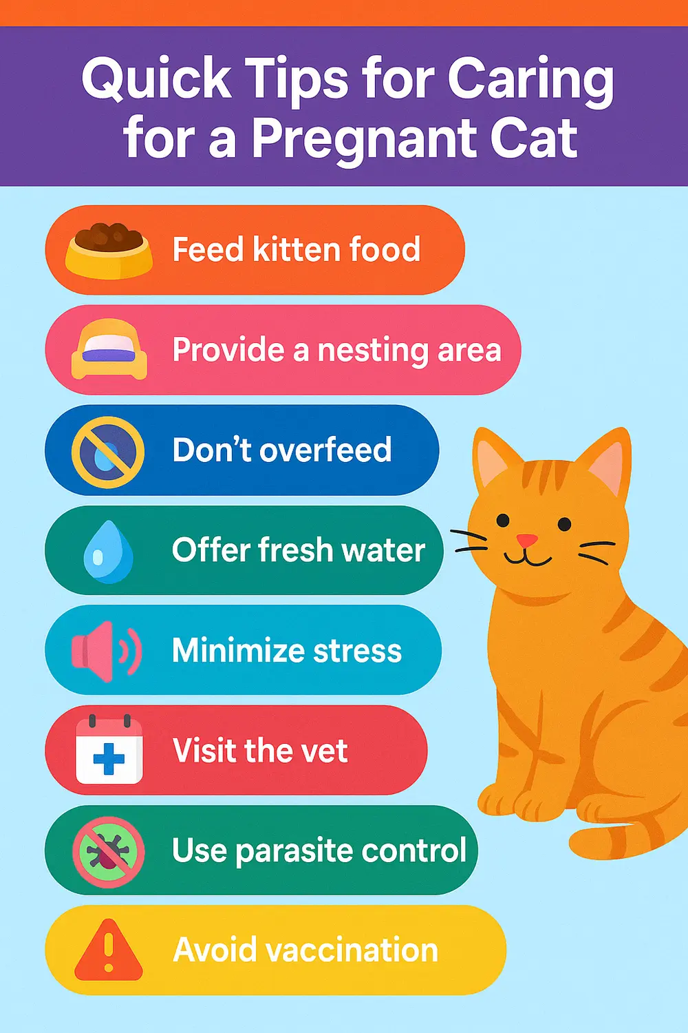 Colorful pregnant cat care infographic with feeding, nesting, stress reduction and vet visit guidelines.