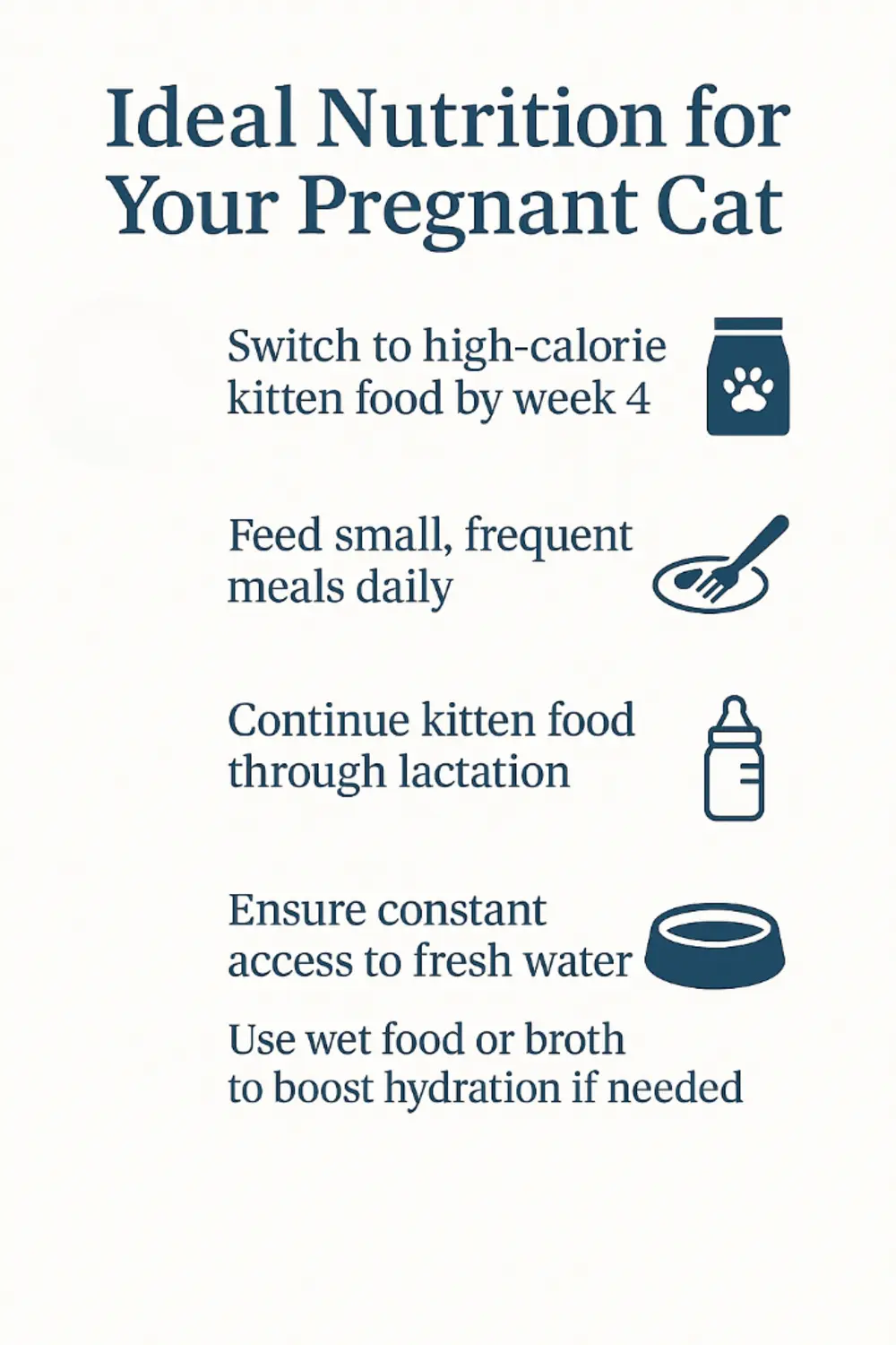 Pregnant cat nutrition guide showing kitten food, feeding schedule and hydration tips with icons.